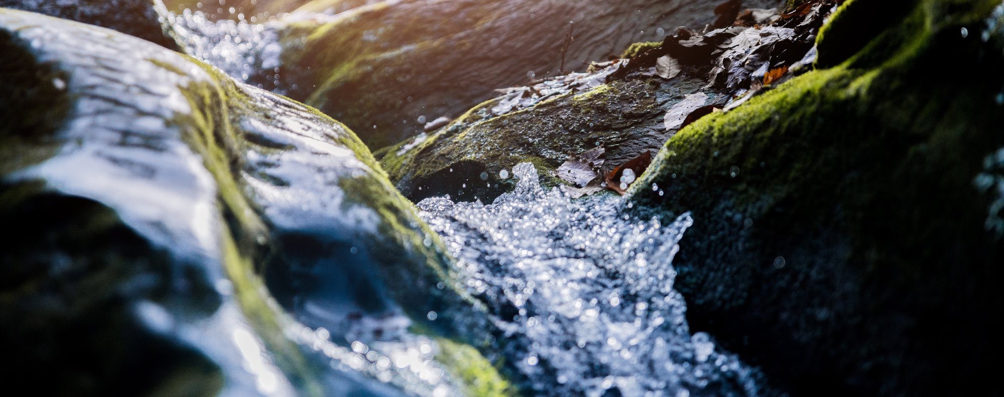 AdobeStock_325948224-2-1-2